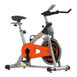 GINASIA BICICLETA ATHLETIC 700BS