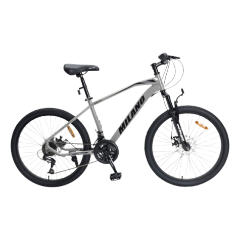 BICICLETA 24 MILANO SAETA PLATA